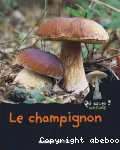 Le champignon vignette
