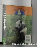 Le panda vignette