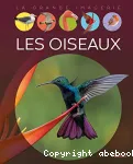 Les oiseaux vignette