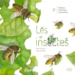 Les insectes vignette
