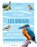 Comment attirer les oiseaux dans son jardin vignette