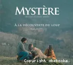 Mystère vignette