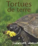 Tortues de terre vignette