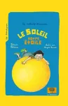 Le soleil, notre étoile vignette