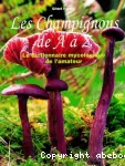 Les champignons de A à Z vignette